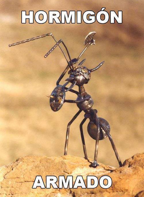 666_590995507599294_355939294_n