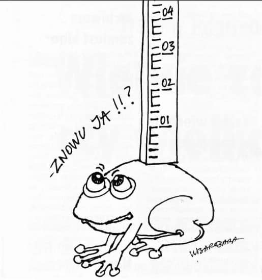 244742376_3039421776294939_5288472594583376922_n