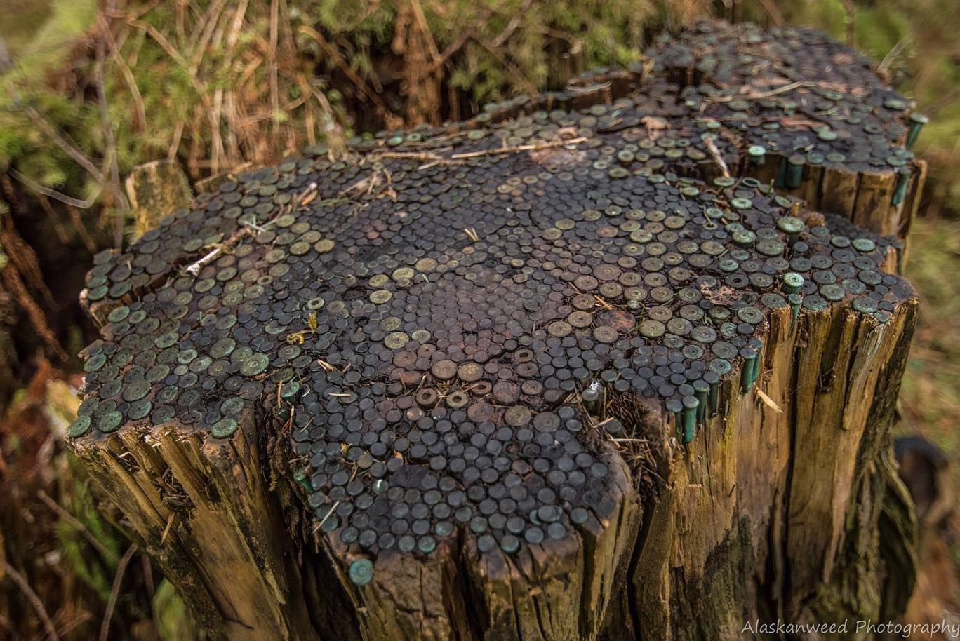 -273545086_4805569396196024_5302622727074819810_n