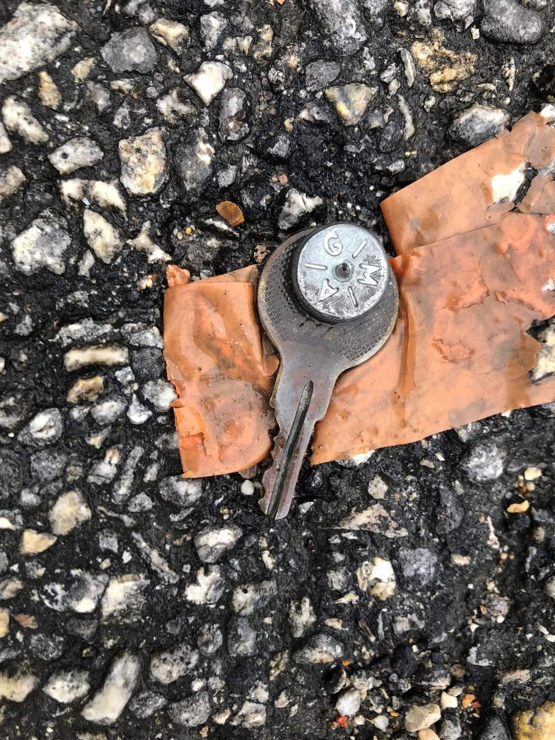 FB_IMG_1643137661795